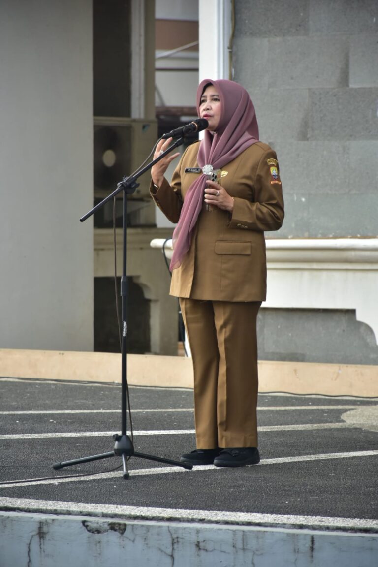 WhatsApp Image 2026-01-26 at 17.14.21