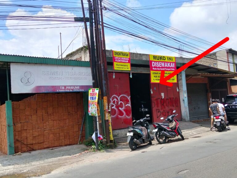 WhatsApp Image 2026-02-03 at 22.47.21