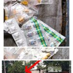 WhatsApp Image 2026-04-01 at 19.35.51